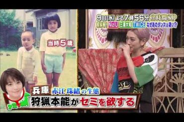 【女が女に怒る夜】実は関西出身の女【赤江珠緒】【水川あさみ】【ファーストサマーウイカ】Past4