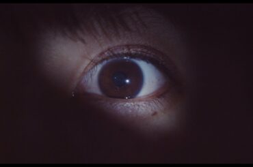 【ティザー】短編映画「ハチワン結婚相談所」