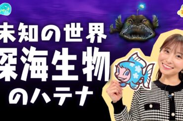 深海生物のハテナ～ここがスゴイぞ！深海魚～／とれたてリサーチ