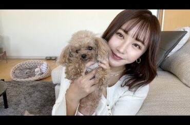 【世紀末】こんにちわんこそばだった世界線の動画