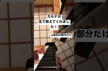 「祈りのカルテ」を見ている人なら聞いたことある曲