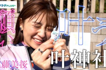 【工藤美桜×横須賀の旅！】願いが2倍!?東西に分かれたパワースポット・叶神社！〈ロコレコ！〉