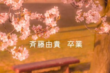 斉藤由貴  卒業 (歌詞入り)