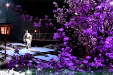 夜桜お七:　坂本冬美