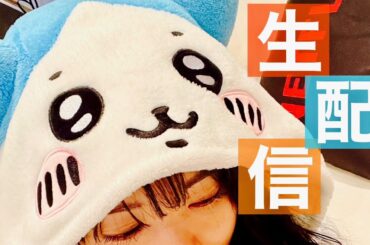 【ちぃかわ】ハチワレになってみたんですけどいかがですか？【生配信】