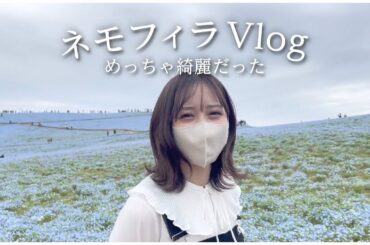 【Vlog】今年もネモフィラを見に行ってきました！