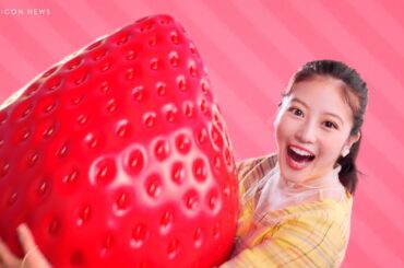 今田美桜、ドデカイ苺を抱えてダンスを披露！　『#あまおうエール』キャンペーン　JA全農ふくれん