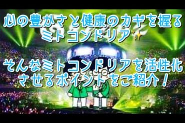 #244  豊かさと健康のカギを握るミトコンドリア