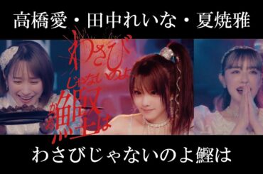 高橋愛・田中れいな・夏焼雅『わさびじゃないのよ鰹は』Promotion Edit