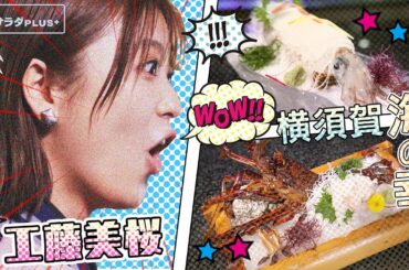 【工藤美桜×横須賀の旅！】伊勢海老＆活きイカ！横須賀の海の幸、いただきます！〈ロコレコ！〉