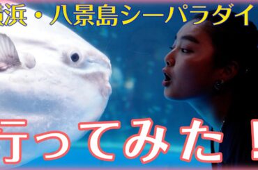 【八景島】シーパラに行ってきました♡