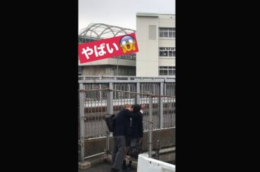 【ニビハコ】PR　ティザー4