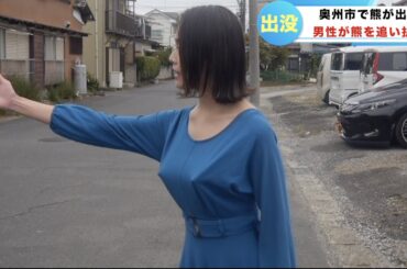 多分つけ忘れた福井