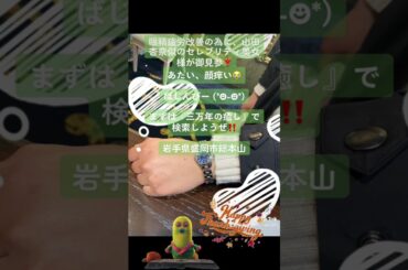 眼精疲労改善の為に山田杏奈似のセレブリティ美女様が御見参❣️あたい顔痒い😭ばじんびー (*☻-☻*)