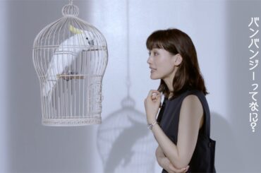 綾瀬はるか、オウムとコミカルな掛け合い　セイコールキアWEB限定ムービー「Seiko Lukia 2017 SS キバタン篇」
