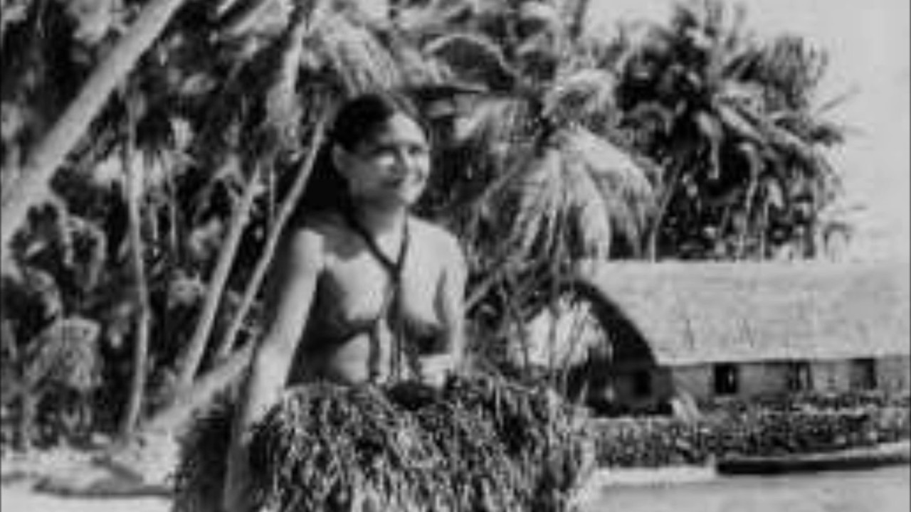 酋長の娘(私のラバさん) バイオリン演歌ライブ 2017 酋長の娘(私のラバさん) バイオリン演歌ライブ 2017