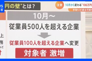 共働き家庭必見！10月から“年収106万円の壁”適用企業拡大　あなたの勤め先は大丈夫？　専門家「必ずしも損ばかりではない」｜TBS NEWS DIG