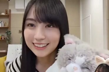 猫アレルギーのかきニャン まとめ