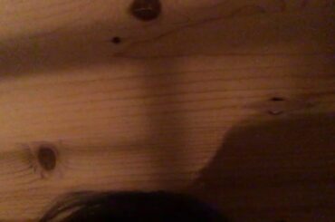 【米谷奈々未卒業】平手さん号泣…