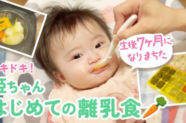 【初体験】姫ちゃん、はじめての離乳食👶🏻🥕【生後７ヶ月】