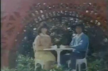 ロッテ パリdeパイ CM　伊藤つかさ