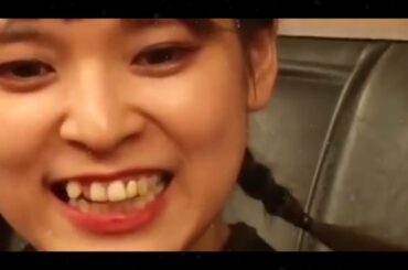 【豆柴の大群】りスタート アイカ ver.