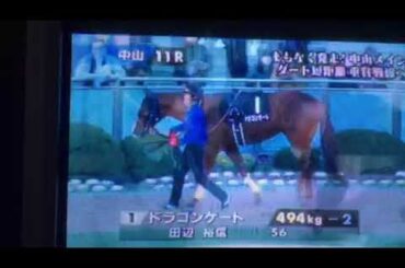 柴田阿弥ちゃん