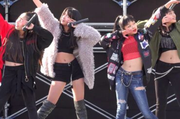 flapbeats 2017.11.12 名古屋城秋まつり