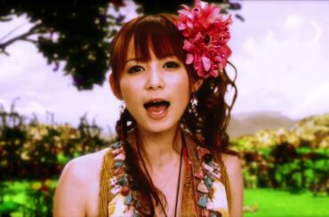 中川　翔子　『涙の種、笑顔の花』