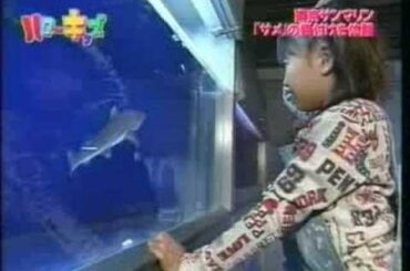 岡井千聖 and 中島早貴 (℃-ute )