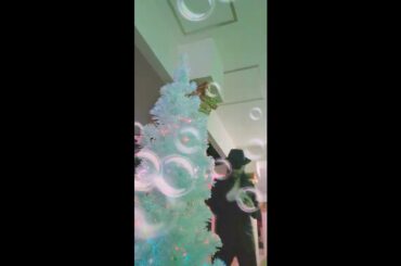 【 B J  からの Merry Christmas 🎁🎼 】＃1092 [  White Christmas  ] by  THE TIGERS／Bing Crosby  を🎄  ✳️聖なる夜に 🌹