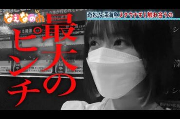 なえなのch #8 思い出の町・沼津編!深海生物と対面するの🦀ロケ史上最大のピンチが!?