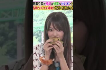 【田村保乃/守屋麗奈】くぁいい二人がパンダライスバーガーを食べる姿を観ているだけで幸せな気持ちになれるんだなん :)【櫻坂46】