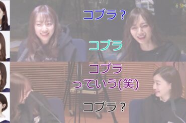 田村真佑「コブラっていう」【新内眞衣が生放送・乃木坂46のANN#045】【文字起こし】