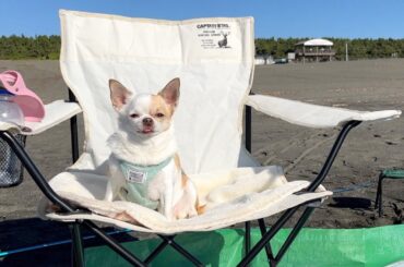 のんいののために海にマグロを釣りに行きました