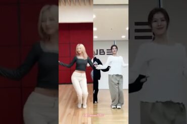 Sana & Tzuyu Nxde Challenge from (G)I-DLE