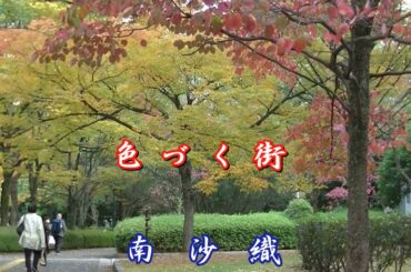 色づく街／南沙織