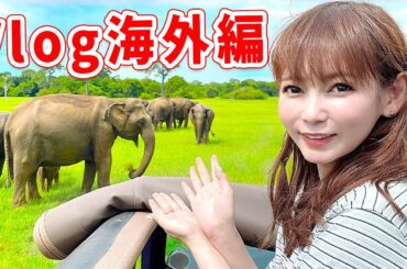 【Vlog海外編】スリランカで野生動物と触れ合ってきました！