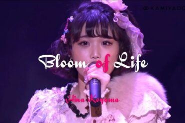 神宿 小山ひな 「ビ・ビ・ビ♡」「好きといわせてもらってもいいですか？」 @Zepp DiverCity