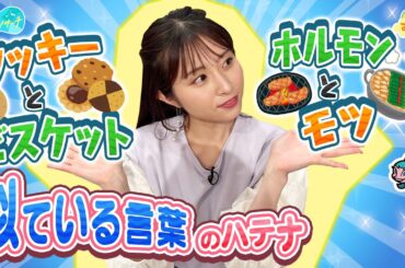 大好評！似ている言葉のハテナ 第５弾／とれたてリサーチ