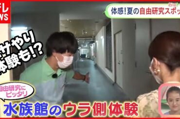 【自由研究スポット】昆虫博士ファーブルの体験＆水族館のバックヤードツアー