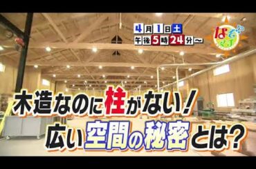【番宣】柱がない木造建築のナゾに迫る▽なぞマチ!?2023/4/1（土）