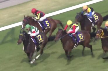 2016 桜花賞(GⅠ) 直線