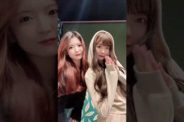 ネコー #渡辺美優紀 #Miruki #みるきー 2023.03.24