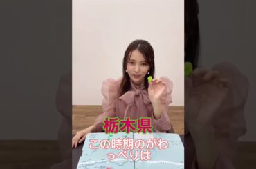 小林由依の都道府県方言チャレンジ〜栃木県編〜