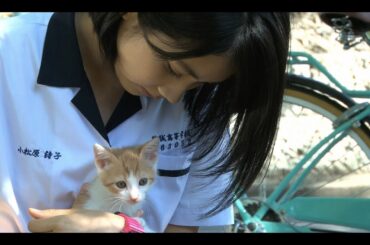 『あの頃、君を追いかけた』“松本穂香＆猫”メイキング映像