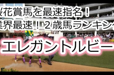 【エレガントルビー】【葉牡丹賞】桜花賞馬を最速指名！