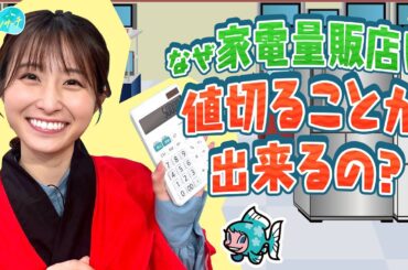 なぜ家電量販店は値切ることができるの？／とれたてリサーチ