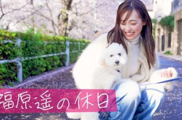 【最新版】2023年の桜が綺麗すぎて、テンションが最高潮になりました！！【ドライブあり】