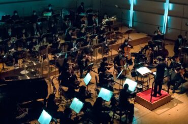 鈴木 美羽 ／ Nemesia caerulea